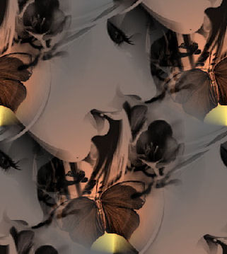 Butterflydiva3